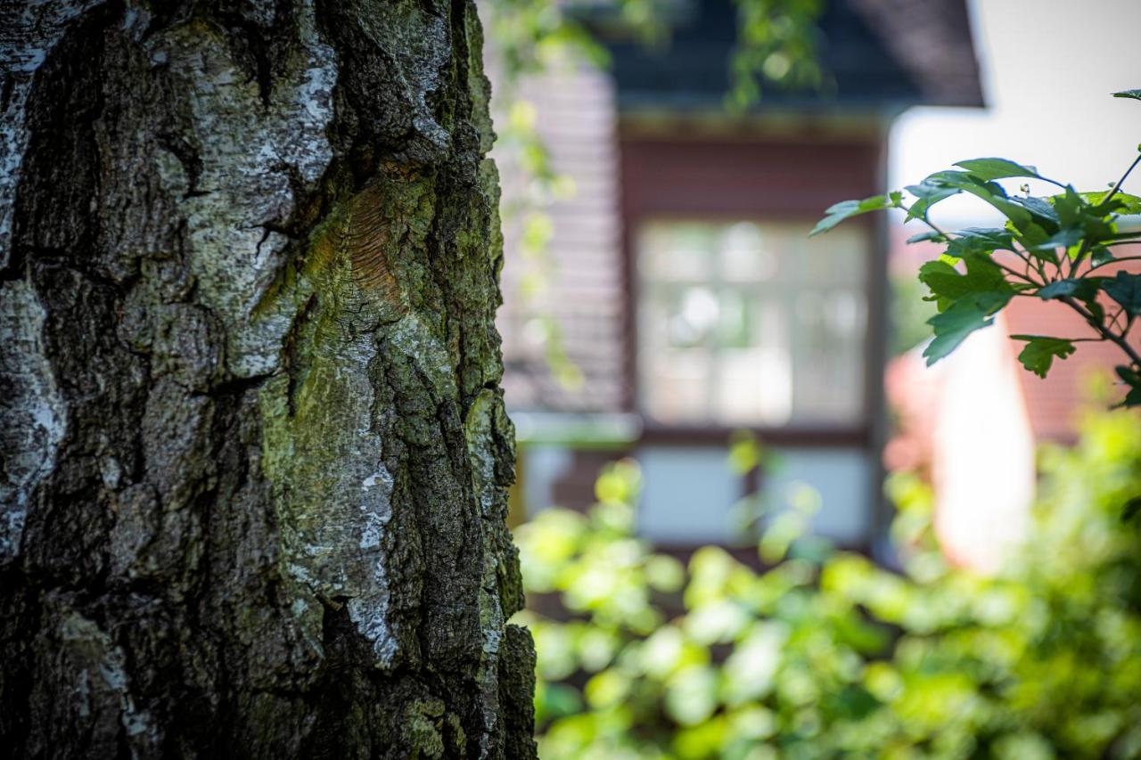 Blumeins - Das Refugium Groß-Umstadt Esterno foto